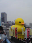 Image005.jpg