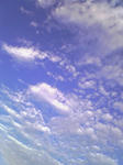 SBSH0148.JPG