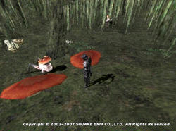 Raf071009121019a.jpg