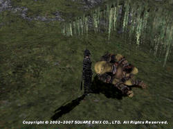 Raf071009121347a.jpg
