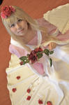 rose1001.jpg