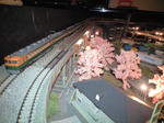 CA390004.jpg