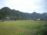 CA390889.JPG