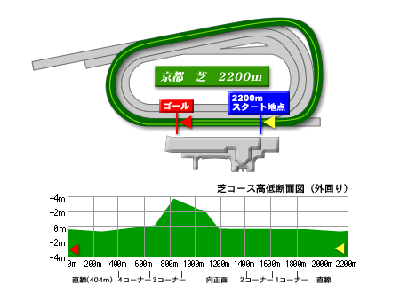 芝2200ｍ画像