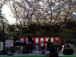 IMG_0412resized.jpg