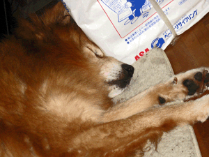 d200810-0013.gif