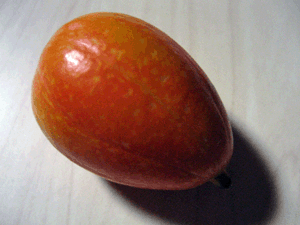 d200810-0015.gif