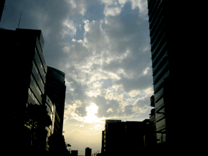 d200810-0023.gif