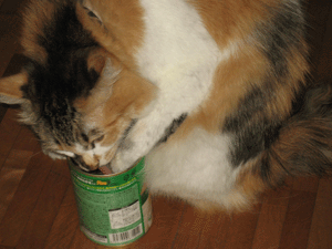 d200810-0024.gif