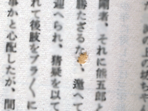 d200811-0002.gif