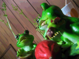 d200811-0012.gif