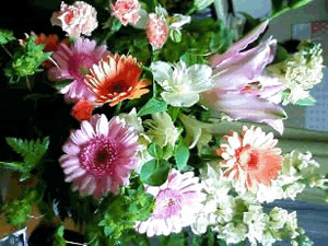 d200811-0034.gif