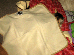 d200811-0042.gif