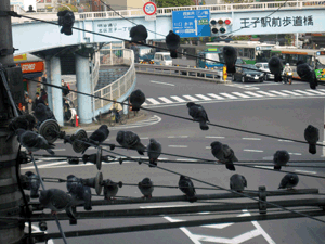 d200812-0020.gif