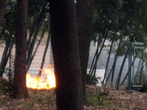 d200901-0010.gif