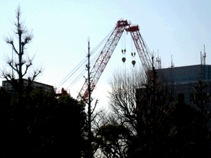 d200902-0027.gif