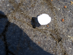 d200902-0075.gif