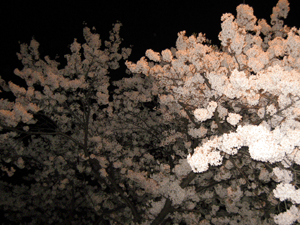 d200904-0037.gif