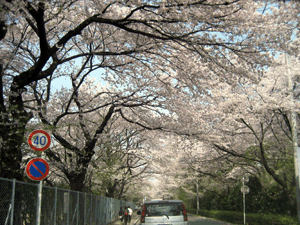 d200904-0040.gif