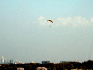 d200904-0041.gif
