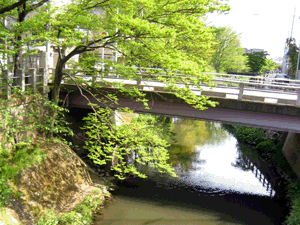 d200904-0055.gif