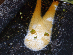 d200904-0058.gif