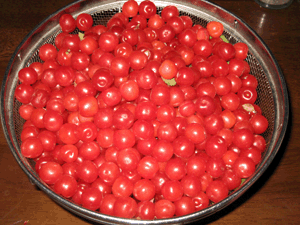 d200905-0027.gif