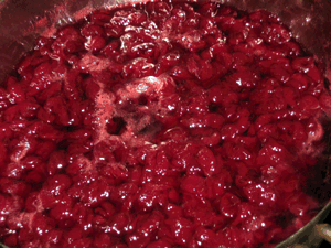 d200906-0002.gif