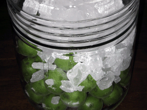 d200906-0011.gif