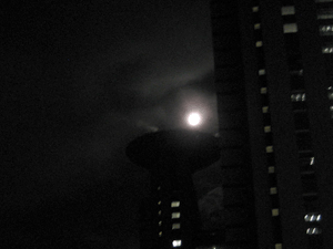 d200907-0016.gif