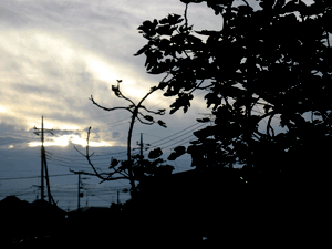 d200907-0037.gif