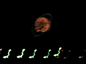 d200908-0020.gif