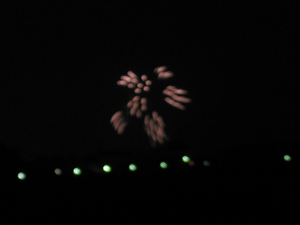 d200908-0021.gif