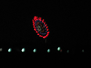 d200908-0022.gif