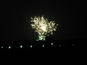 d200908-0026.gif