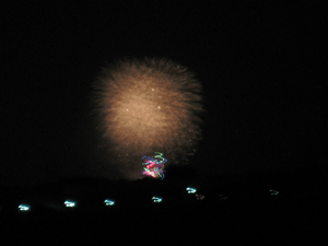 d200908-0027.gif