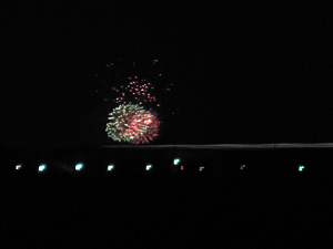 d200908-0028.gif