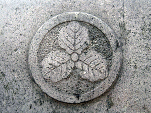 d200908-0038.gif