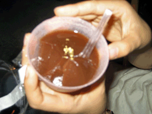 d200909-0036.gif