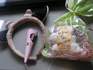 d200911-0031.gif