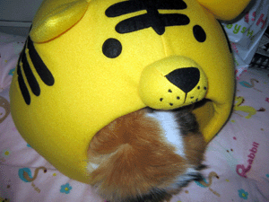 d200911-0034.gif