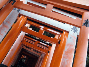 d200911-0045.gif