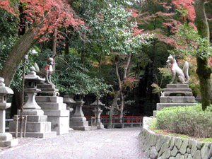 d200911-0046.gif