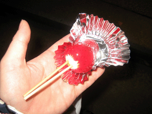 d200911-0050.gif