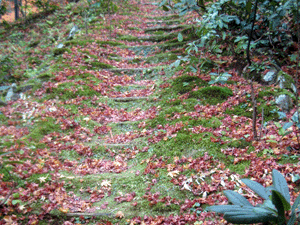 d200911-0057.gif