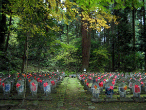 d200911-0059.gif