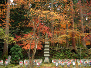 d200911-0060.gif