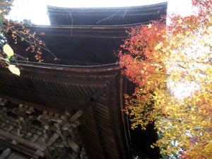d200911-0061.gif