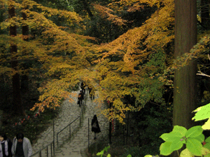 d200911-0062.gif