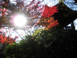 d200912-0014.gif